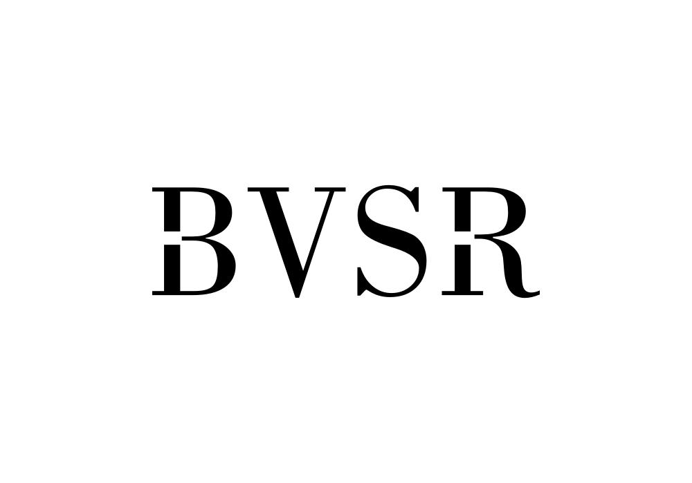 bvsr商标转让_18类bvsr注册号42508145-知夫子