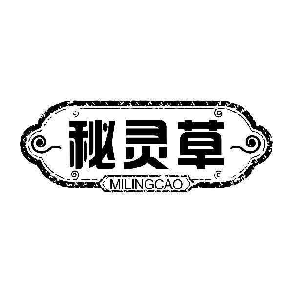 秘灵草 milingcao