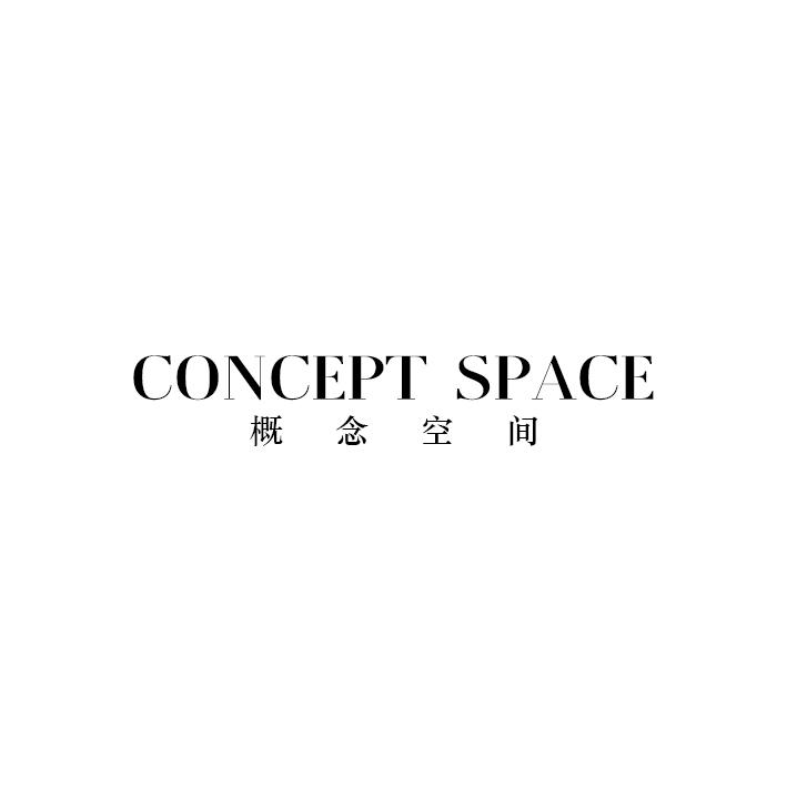 概念空间CONCEPT SPACE