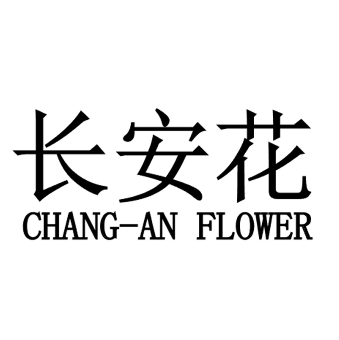 长安花
CHANG AN FLOWER