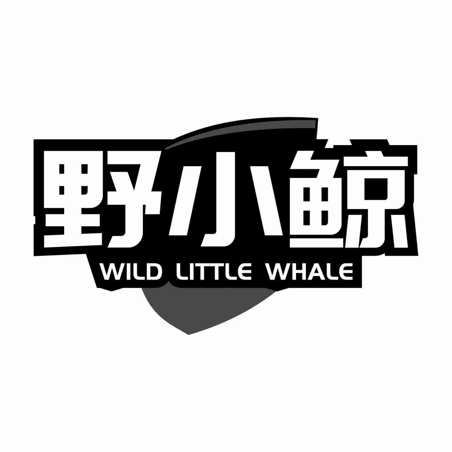 野小鲸 WILD LITTLE WHALE