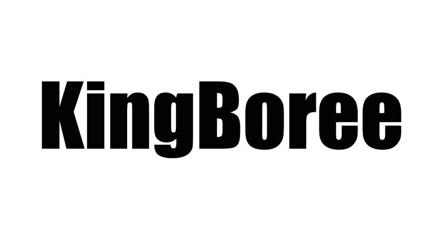 KING BOREE电疗器械商标转让费用买卖交易流程