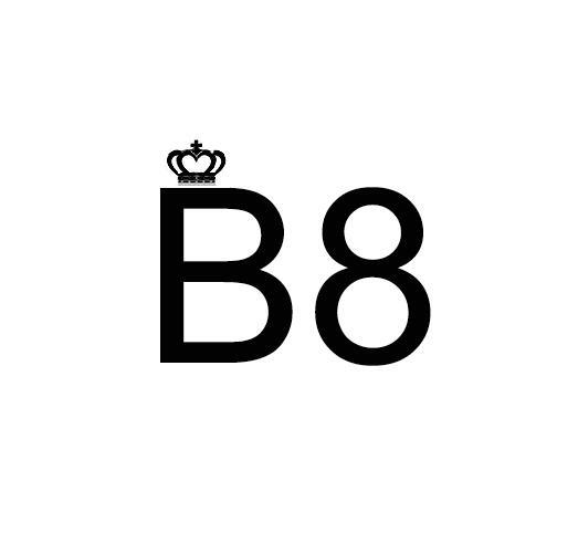 B 8