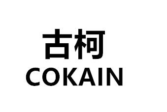 古柯 COKAIN键盘乐器商标转让费用买卖交易流程