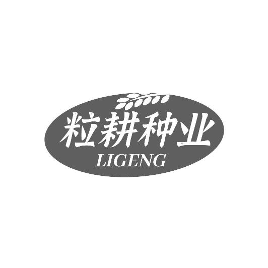 粒耕种业LIGENG