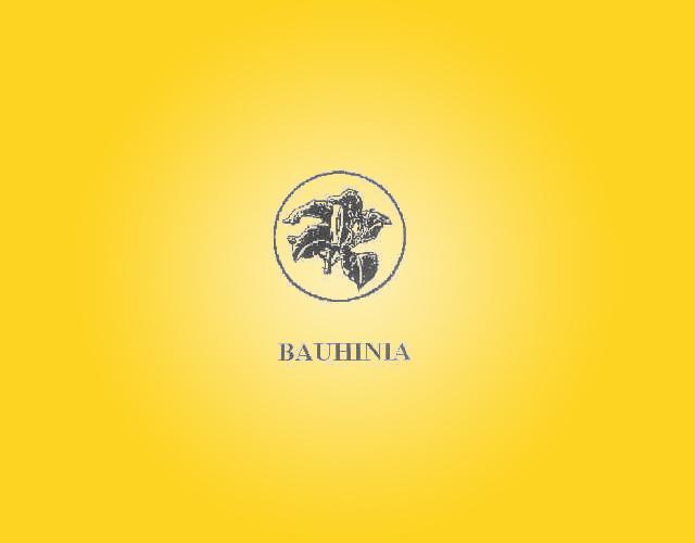 BAUHINIA及紫荆花图形缎子商标转让费用买卖交易流程