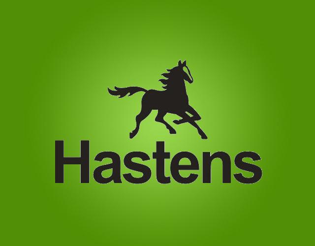 HASTENS运动器械商标转让价格多少钱
