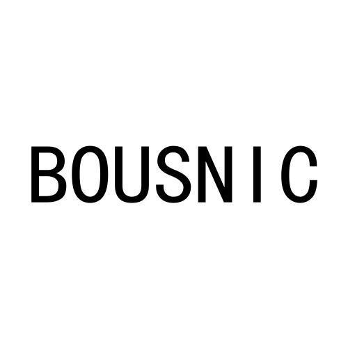 BOUSNIC