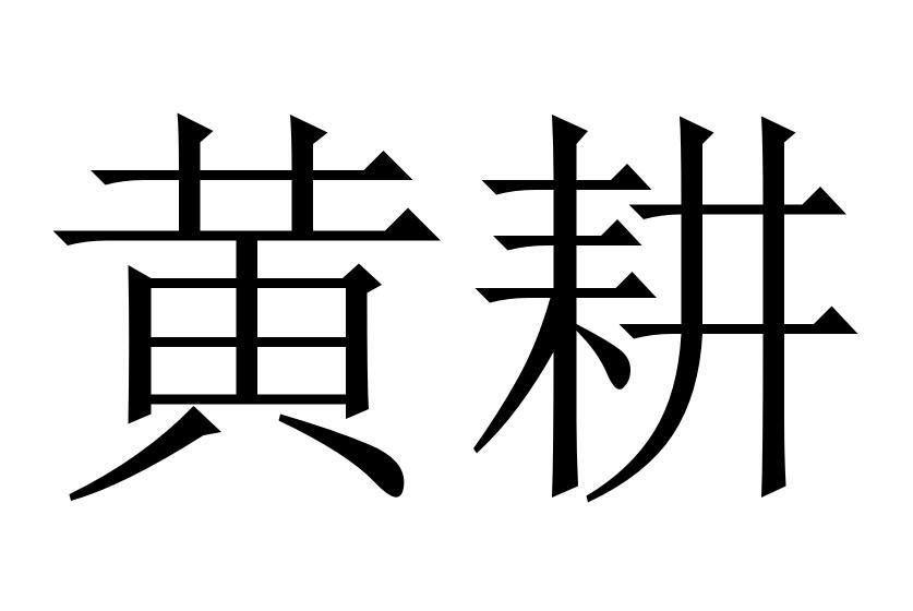 黄耕