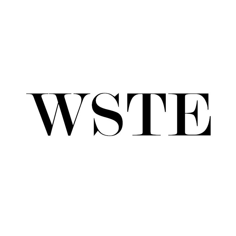 WSTE野营床垫商标转让费用买卖交易流程