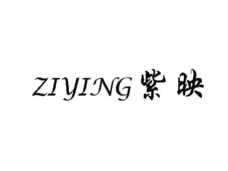 紫映 ZIYING草工艺品商标转让费用买卖交易流程