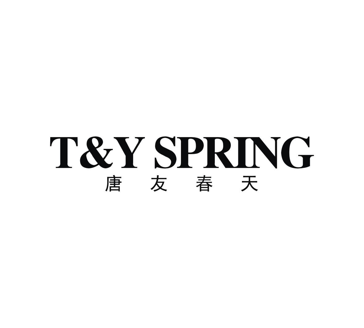 唐友春天T&YSPRING金属墓穴商标转让费用买卖交易流程