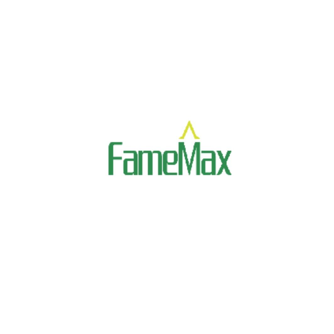 FAMEMAX咖啡萃取机商标转让费用买卖交易流程
