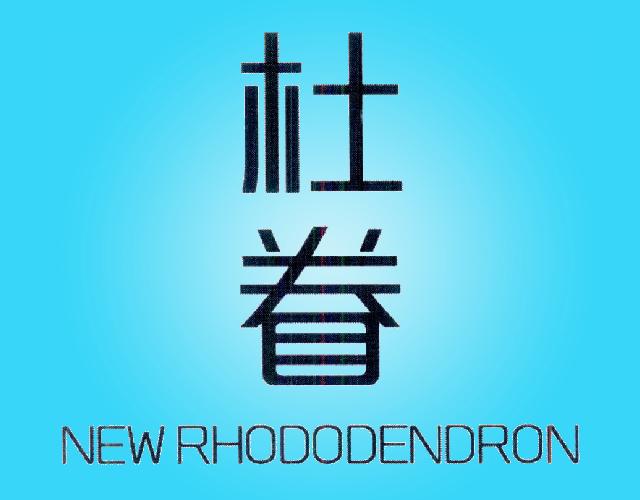 杜眷 NEW RHODODENDRON