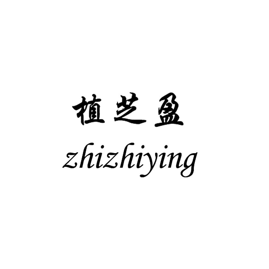 植芝盈 zhizhiying胶水商标转让费用买卖交易流程