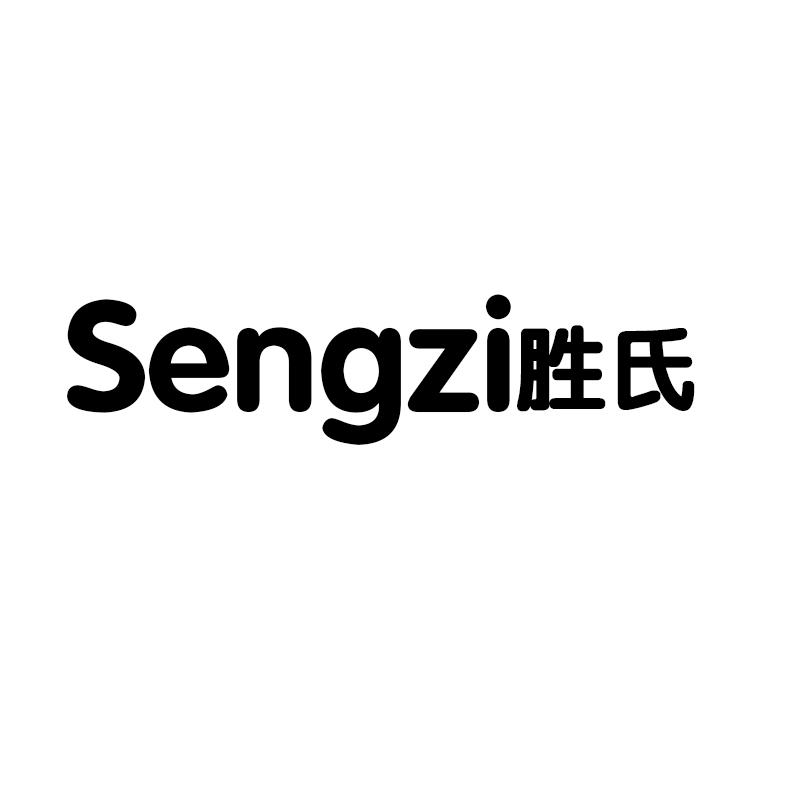 胜氏 SENGZI医用填料商标转让费用买卖交易流程