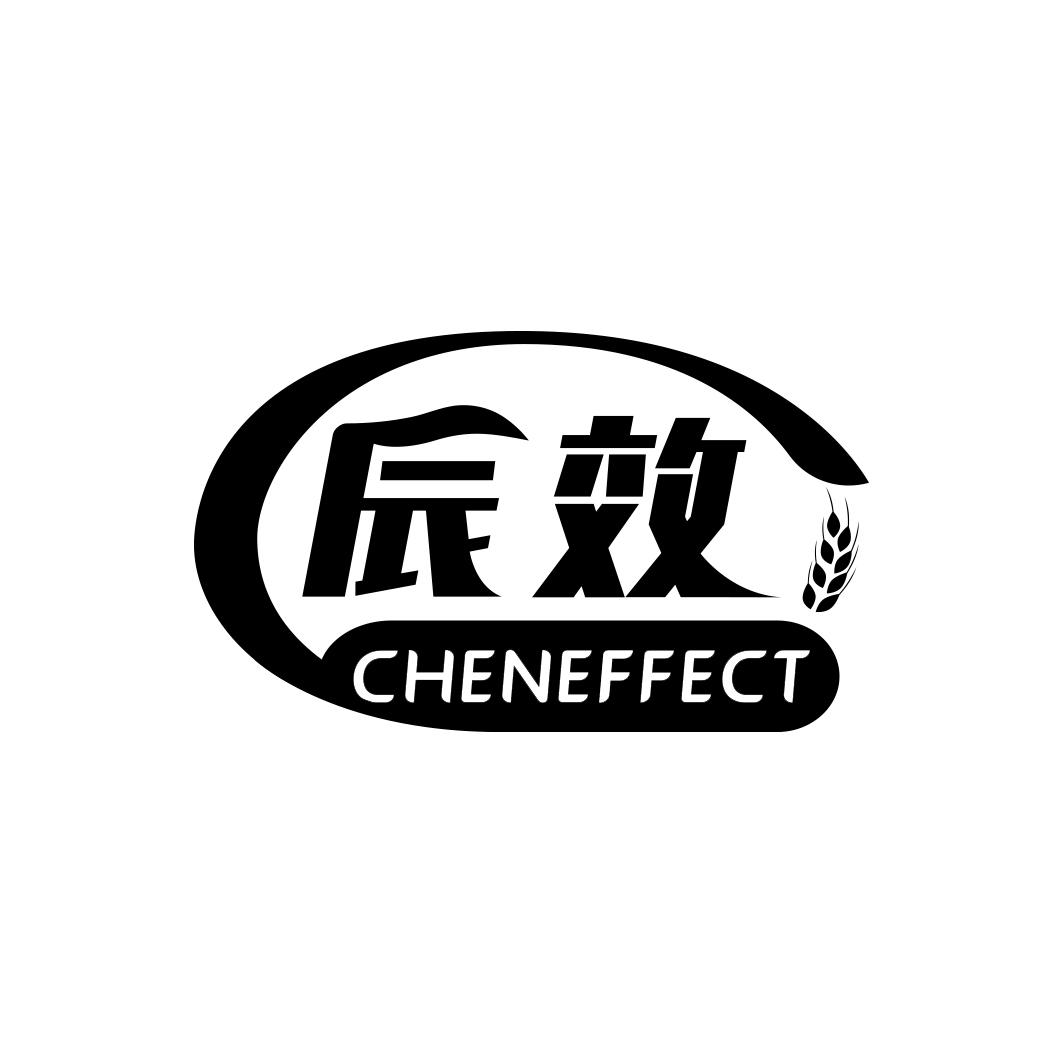 辰效 CHENEFFECT