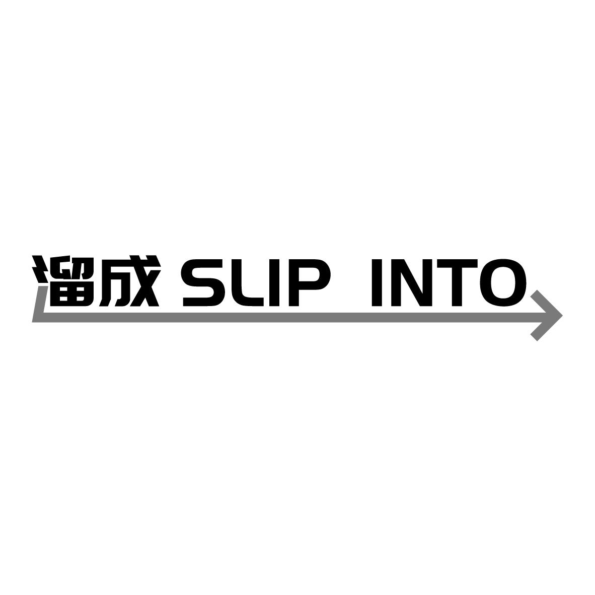 溜成 
SLIP INTO货船运输商标转让费用买卖交易流程