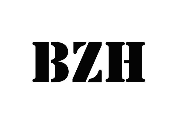 BZH人造乳房商标转让费用买卖交易流程