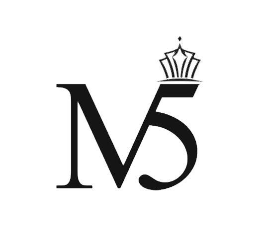 M 5金属纪念碑商标转让费用买卖交易流程
