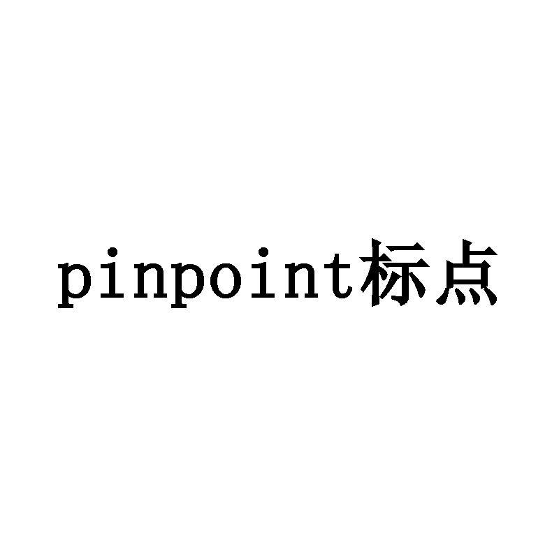 PINPOINT标点