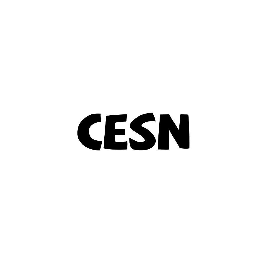 CESN计算机游戏商标转让费用买卖交易流程