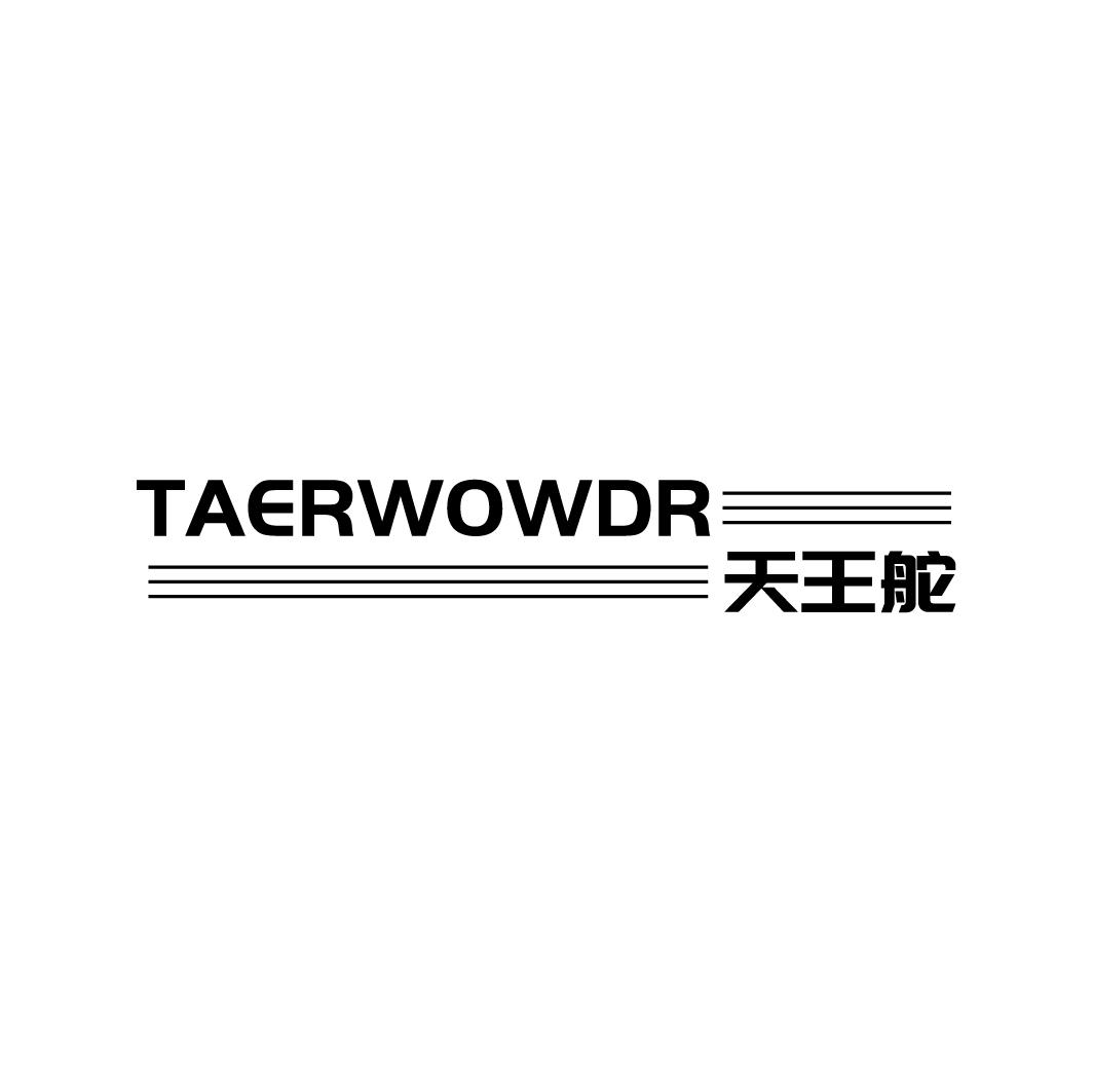 天王舵TAERWOWDR