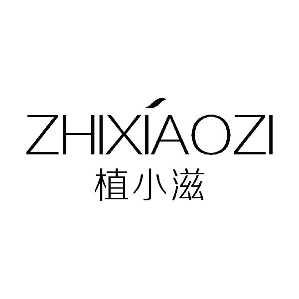 植小滋
zhixiaozipinghushi商标转让价格交易流程