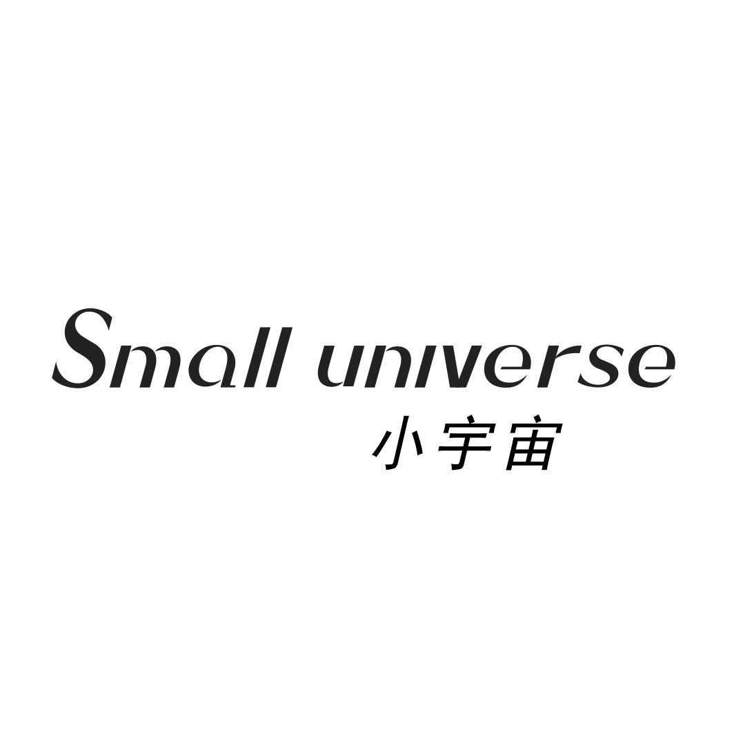小宇宙SMALL UNIVERSE弦乐器商标转让费用买卖交易流程
