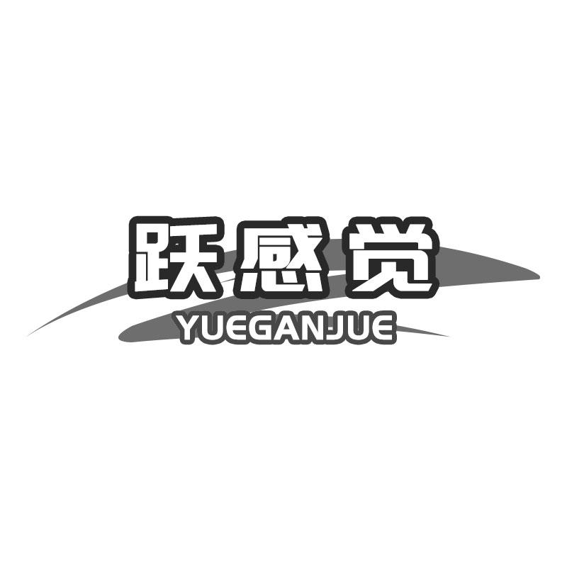 跃感觉YUEGANJUE跳跃器商标转让费用买卖交易流程