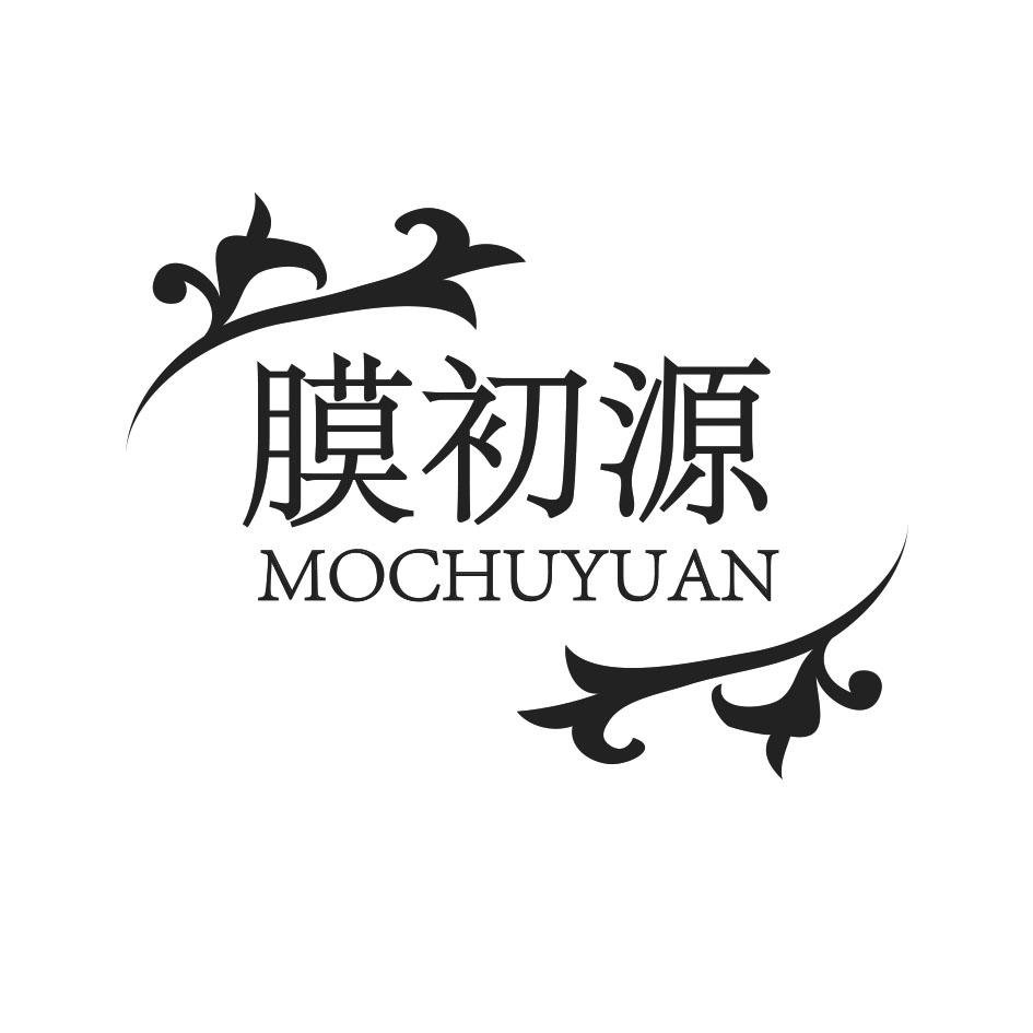 膜初源 MOCHUYUANjinan商标转让价格交易流程