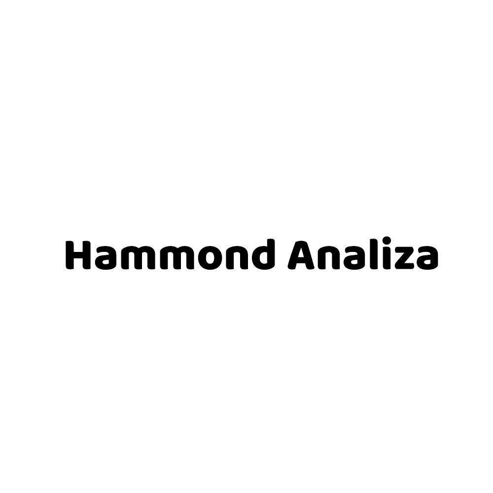 Hammond Analiza