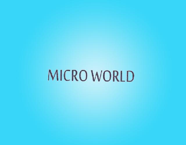 MICRO WORLD