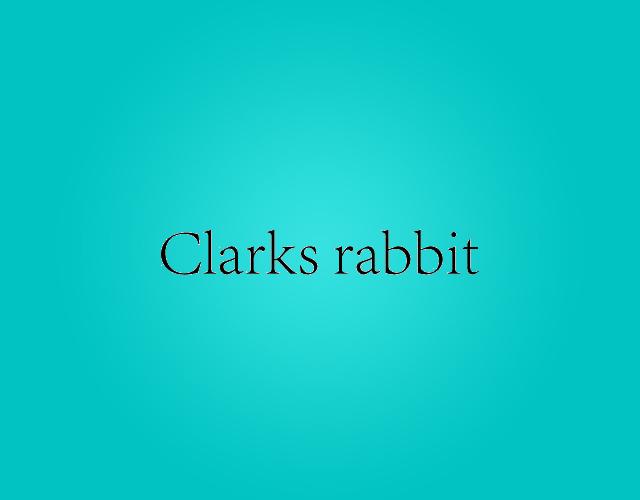 Clarks rabbit