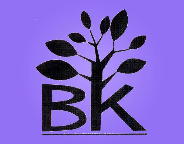 BK照相机商标转让费用买卖交易流程