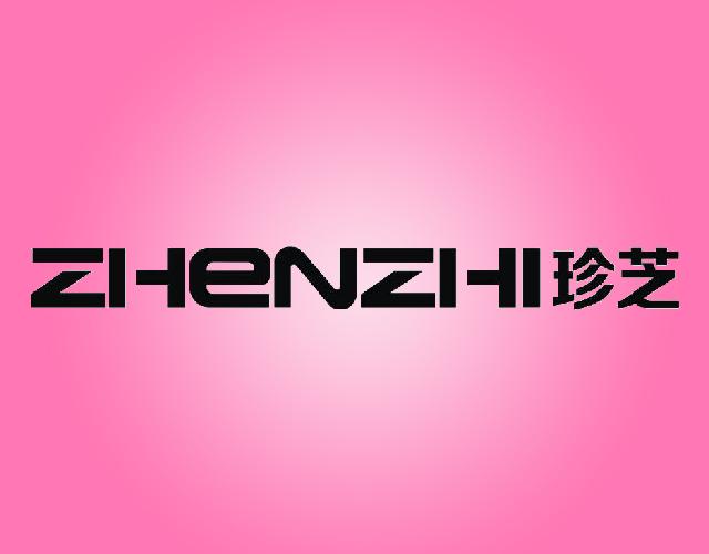 珍芝ZHENZHI闪存盘商标转让费用买卖交易流程
