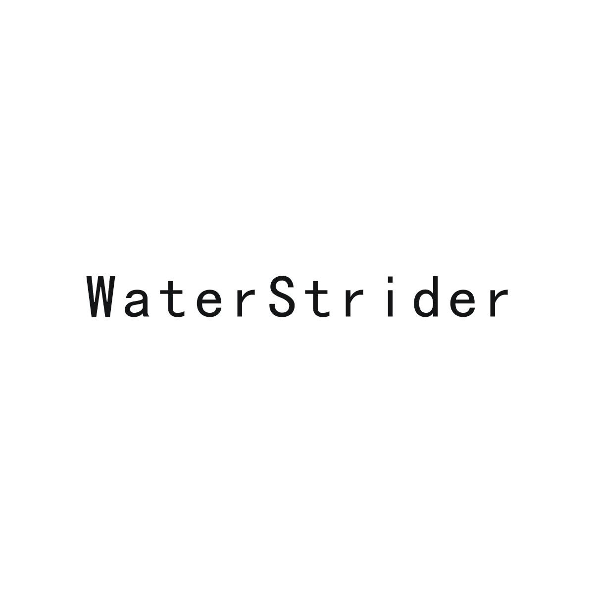 WATERSTRIDER公共马车商标转让费用买卖交易流程