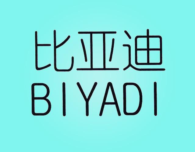 比亚迪;BI YA DI