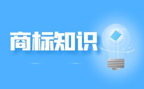 商标等待驳回复审是什么意思?