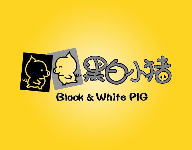 黑白小猪BLACKWHITEPIG