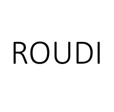 ROUDI水表商标转让费用买卖交易流程