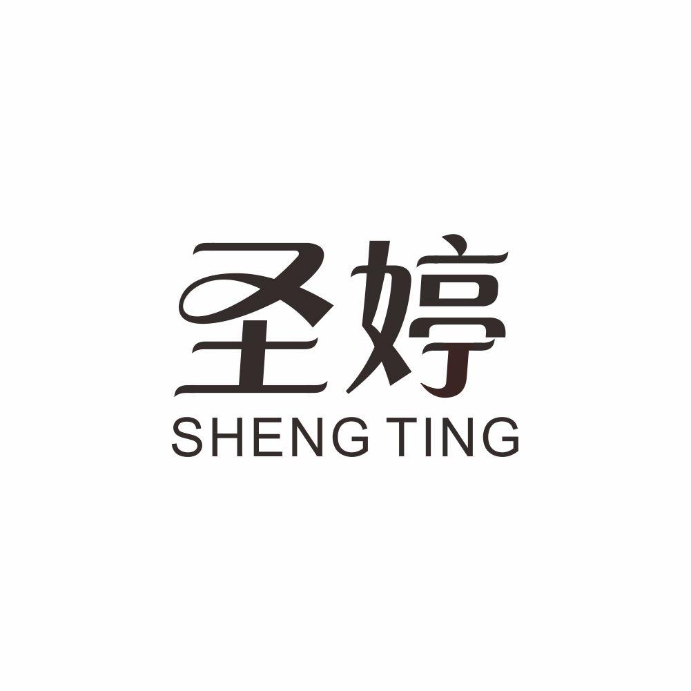 圣婷+SHENGTING乐谱盒商标转让费用买卖交易流程