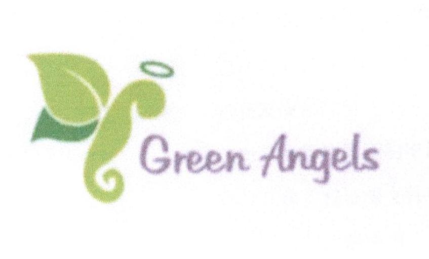 GREEN ANGELS浓缩果汁商标转让费用买卖交易流程