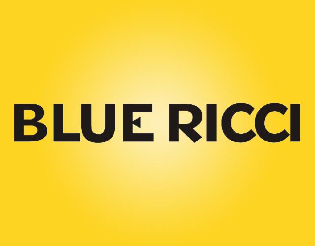 BLUERICCI（蓝色里奇）护目镜商标转让费用买卖交易流程