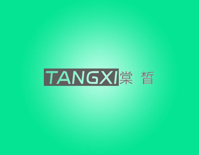 堂晳tangxi洗涤上光粉商标转让费用买卖交易流程