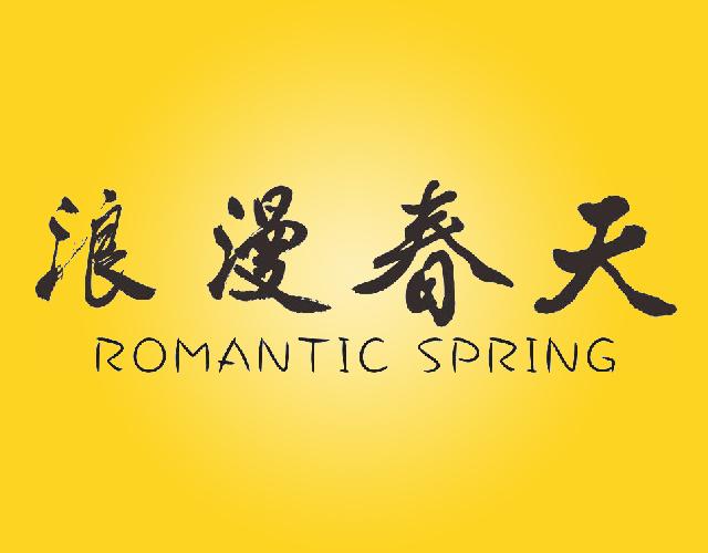 浪漫春天 Romantic Spring绣花饰品商标转让费用买卖交易流程