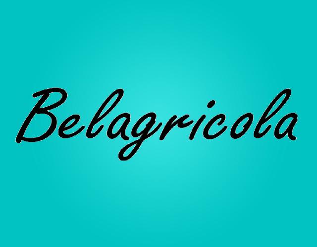 BELAGRICOLA龙虾片商标转让费用买卖交易流程