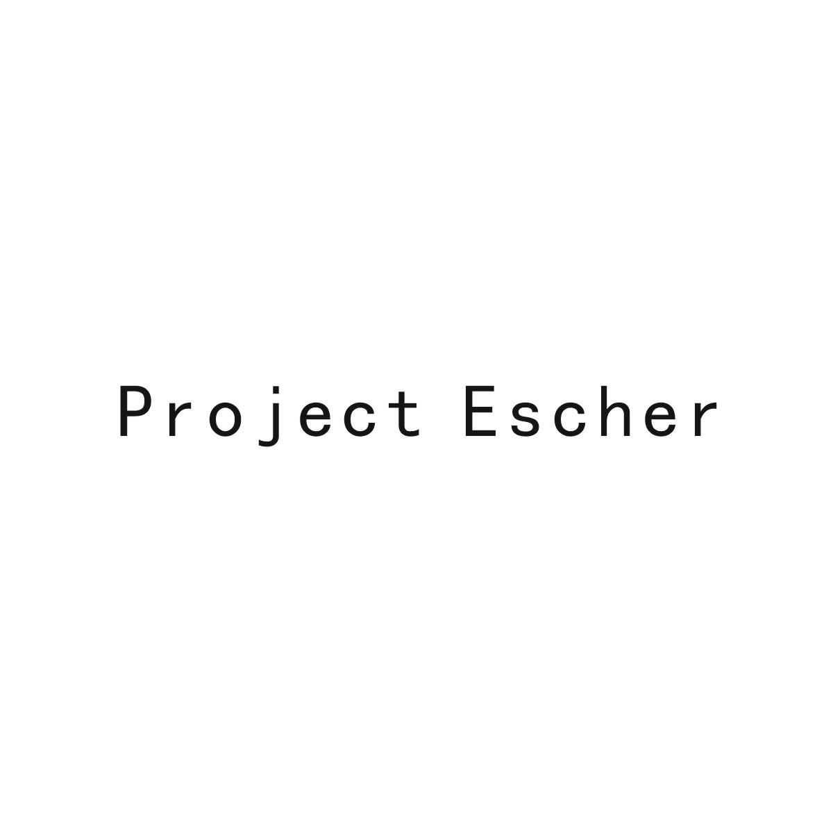 PROJECT ESCHER电池机械商标转让费用买卖交易流程