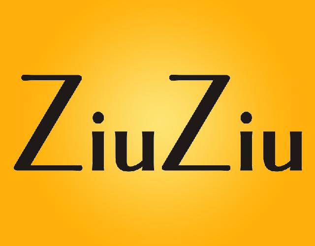 ZIUZIU潜水用耳塞商标转让费用买卖交易流程