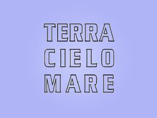 TERRA CIELO MARE耳环商标转让费用买卖交易流程